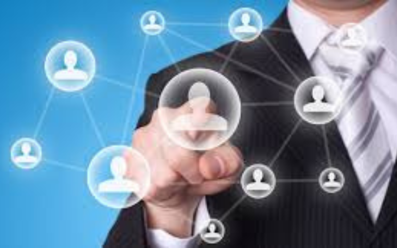 Management Consulting Services